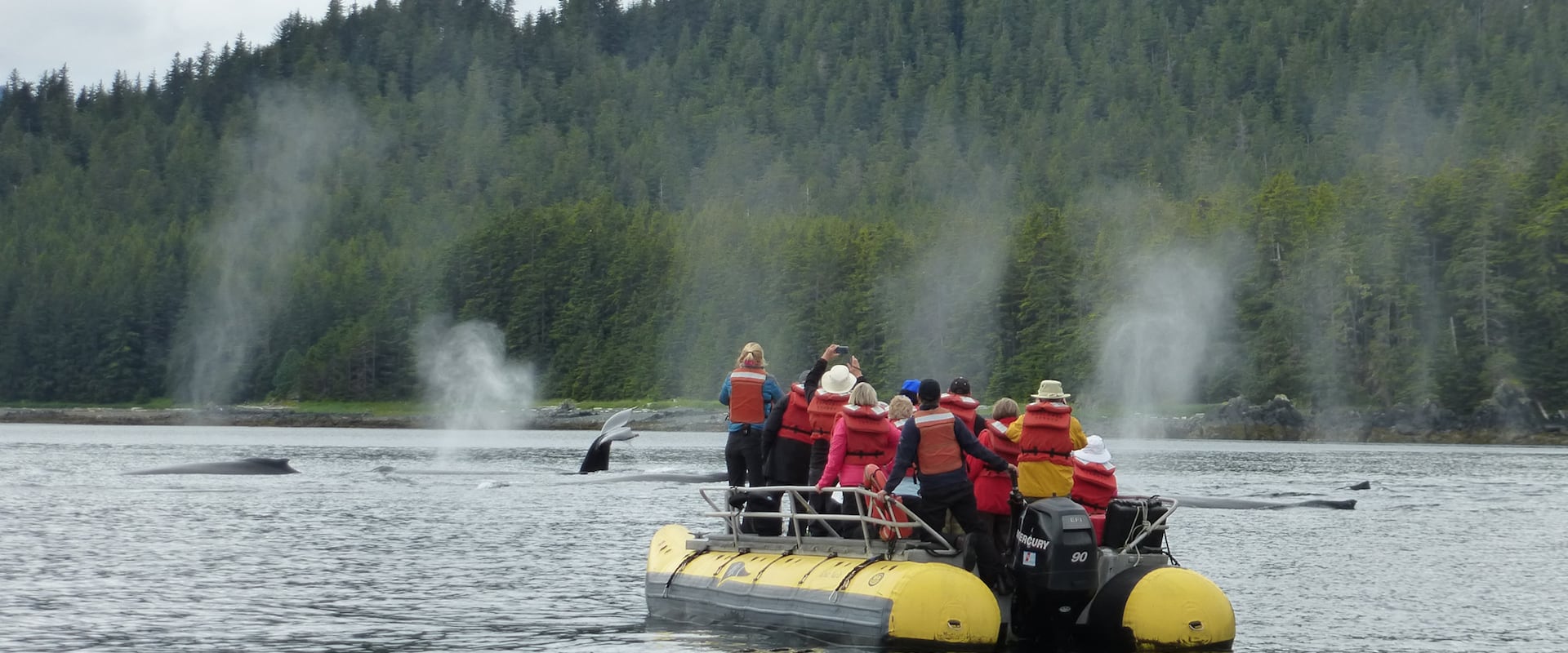 Alaska Inseln Kreuzfahrten