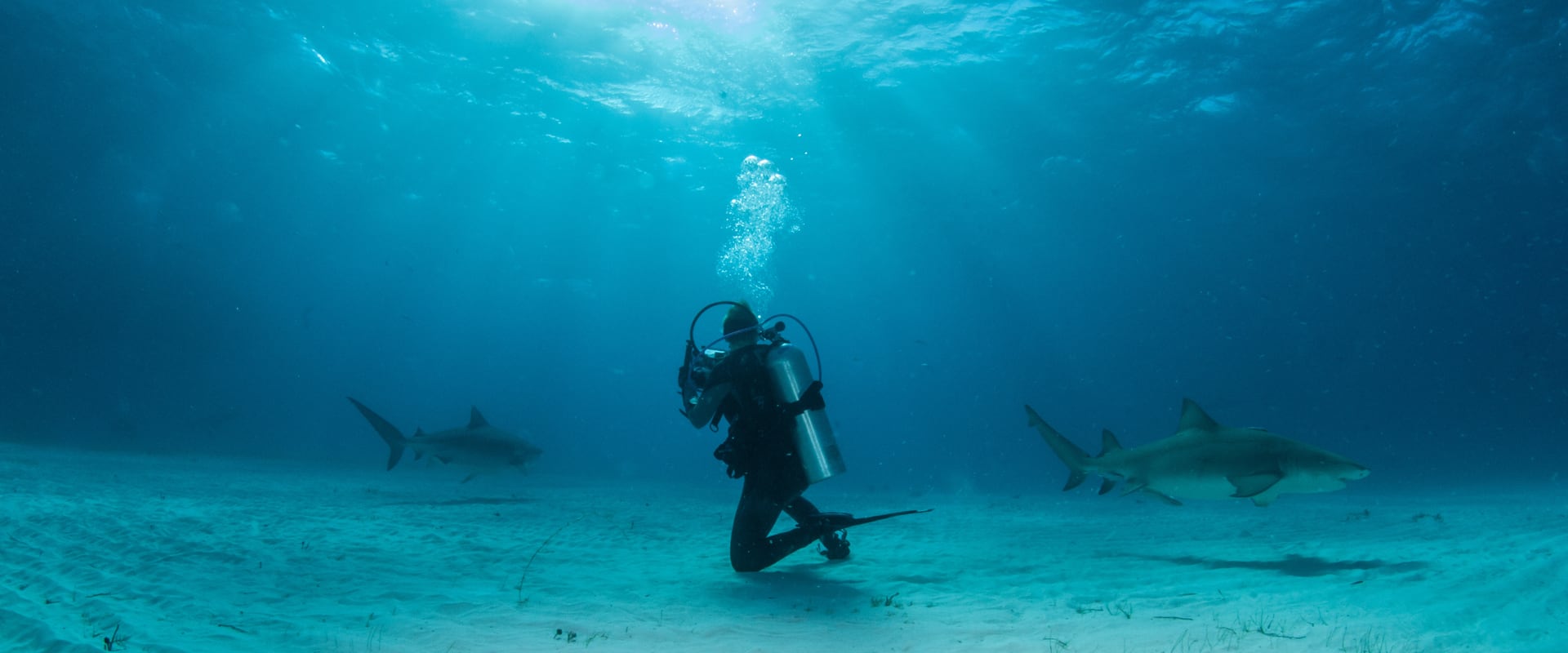 Exuma Cays 리브어보드 다이빙