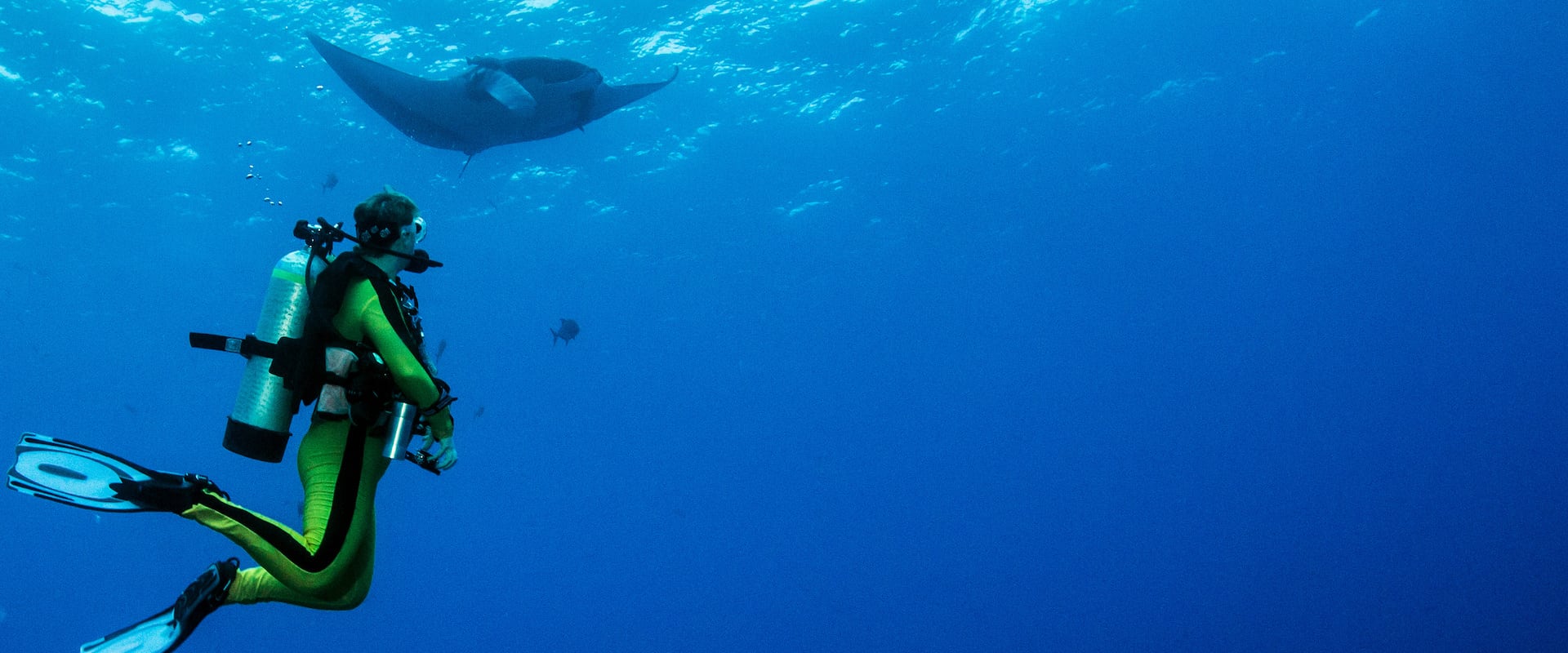Socorro Island Liveaboard Diving